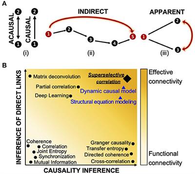 Super-Selective Reconstruction of Causal and Direct Connectivity With Application to in vitro iPSC Neuronal Networks